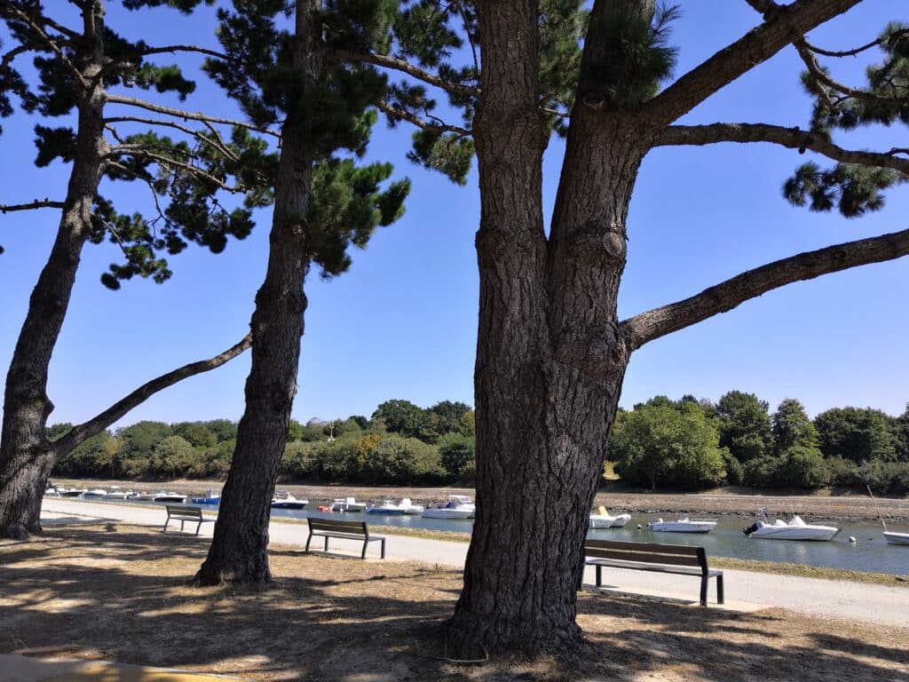 Agence de VANNES : ça se fête !